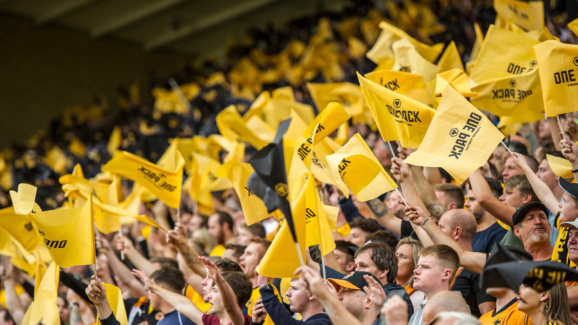 One pack flags at Molineux