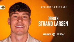 Strand Larsen completes Wolves loan move